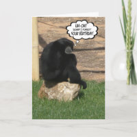 Humourous Belated Birthday Ape