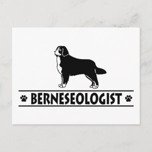Humourous Bernese Mountain Dog Postcard