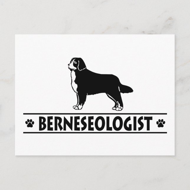 Humourous Bernese Mountain Dog Postcard (Front)