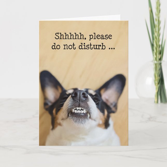 Humourous Birthday Card - Dog Wearing Silly Grin (Front)