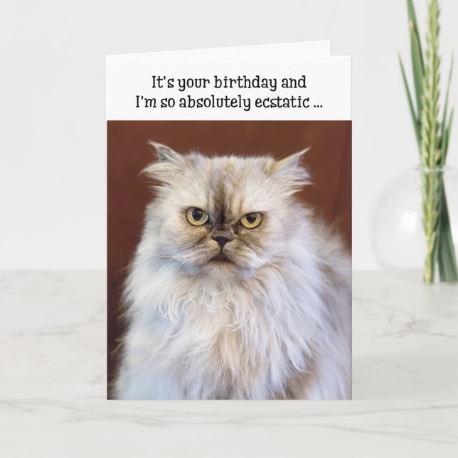 Humourous Birthday Card - Ecstatic Persian Cat (Front)