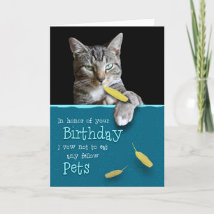 Humourous Birthday Card from the Naughty Cat