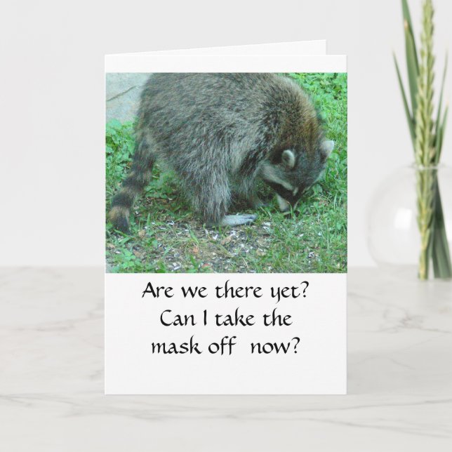 Humourous Birthday Card, Racoon, "Are we there yet Card (Front)