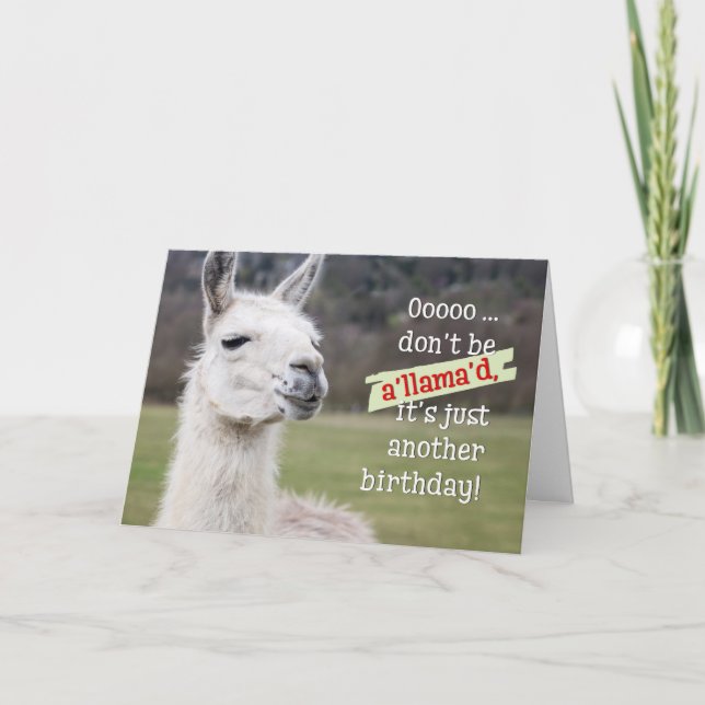Humourous Birthday Card - The Happy Llama (Front)
