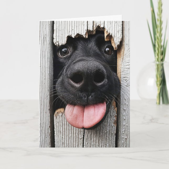 Humourous Birthday Dog Nose Card (Front)
