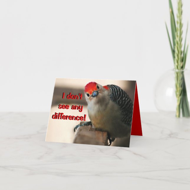 Humourous Birthday Greeting Card (Front)