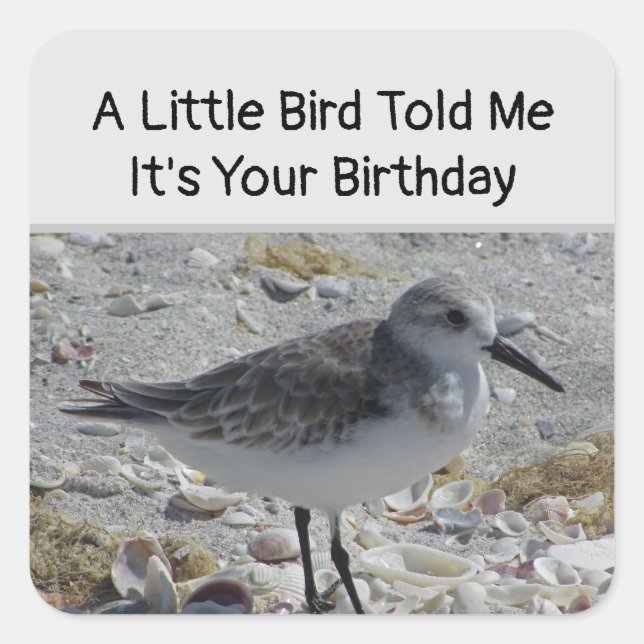 Humourous Birthday Wishes Little Bird Envelope Sea Square Sticker (Front)