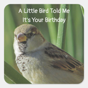 Humourous Birthday Wishes Sparrow Envelope Seal