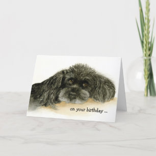 Humourous Birthday with Loveable Poodle Card