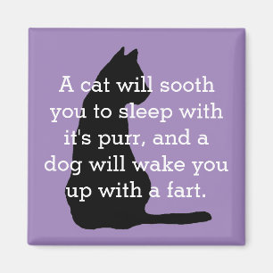 Humourous Cat and Dog Comparison Magnet