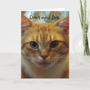 Humourous Cat Birthday Card