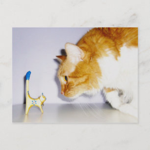 Humourous Cat Staring at Wooden Kitty Statue Postcard