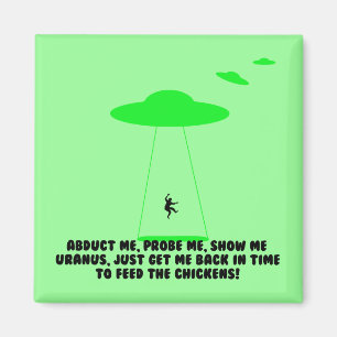 Humourous chicken abduction magnet