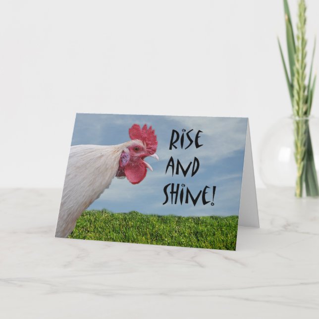 Humourous Chicken Rise and Shine Happy Birthday Card (Front)