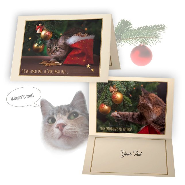 Humourous Christmas Cat Card (Creator Uploaded)