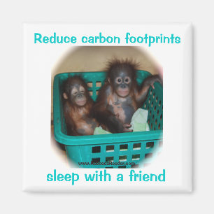 Humourous Conservation Advice Magnet