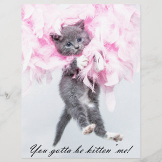 Humourous Cute Funny Cat