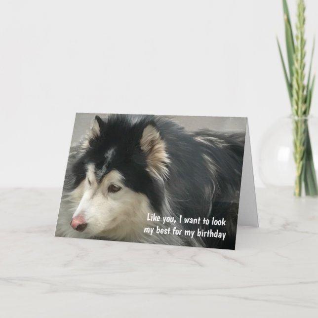 Humourous Dog Birthday Card (Front)