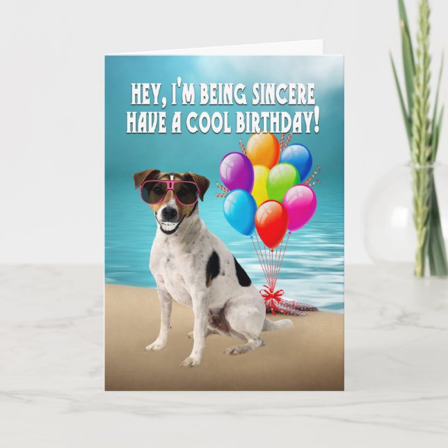humourous dogy birthday card - happy jack russel d (Front)