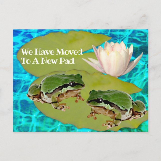 Humourous Frogs Lilies Pad We Moved Announcement Postcard (Front)