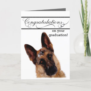 Humourous Graduation Card with German Shepherd