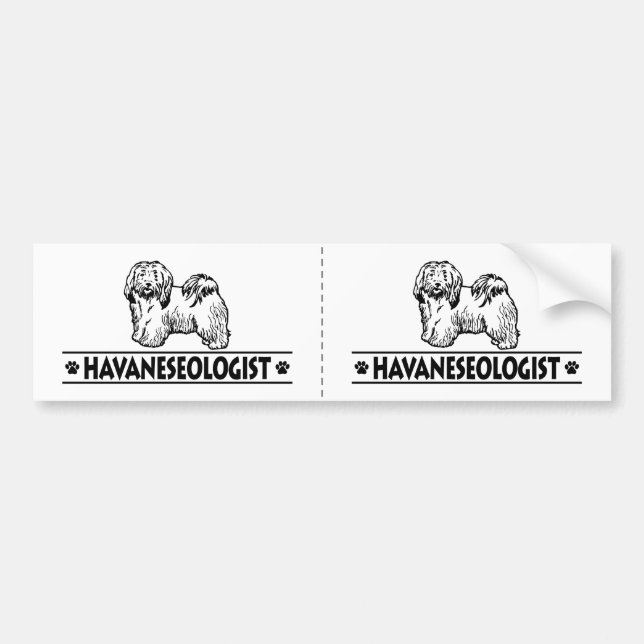 Humourous Havanese Bumper Sticker (Front)