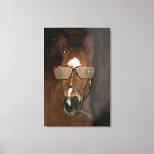 Humourous Horse Foal Smoking Cigar Canvas Art