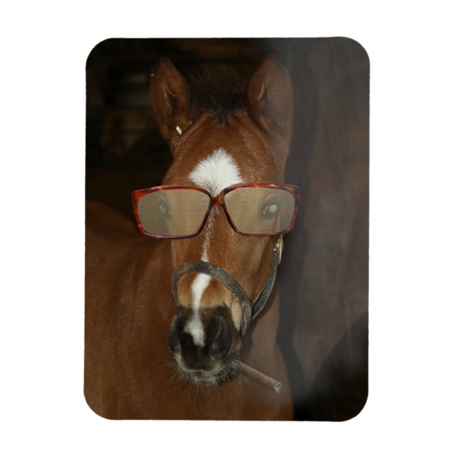 Humourous Horse Foal Smoking Cigar Flexible Magnet (Vertical)
