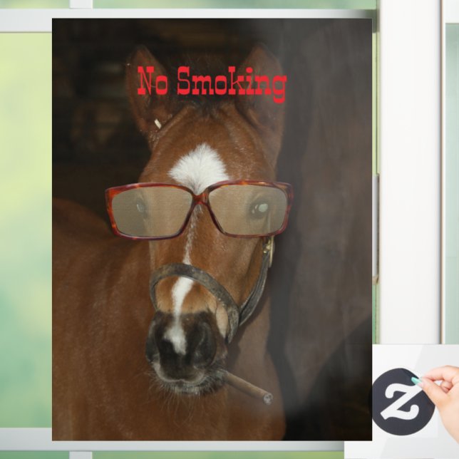 Humourous Horse Foal Smoking Cigar Window Cling (Home)