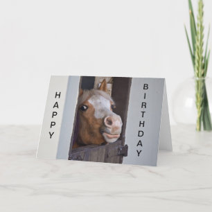Humourous Horse Happy Birthday Card