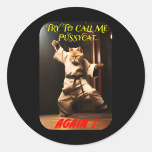 Humourous Karate Theme Classic Round Sticker