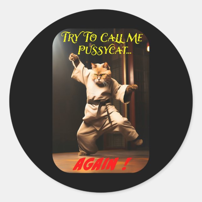 Humourous Karate Theme  Classic Round Sticker (Front)
