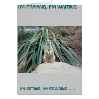 Humourous Meerkat - Circle One