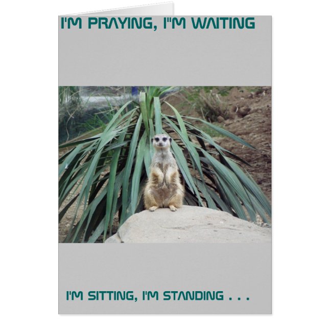 Humourous Meerkat - Circle One (Front)