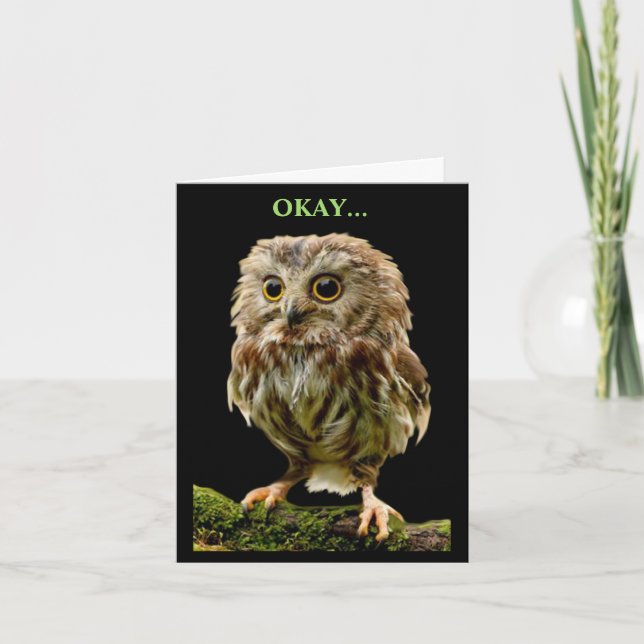 Humourous Owl choosing the fun option Card (Front)