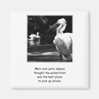 Humourous Pelicans Magnet