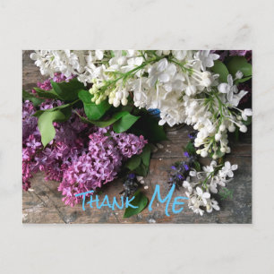 Humourous postcard:   Lilac Thank “ME” notes Postcard