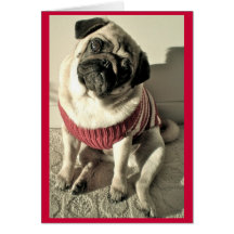 Humourous Pug Valentine Card