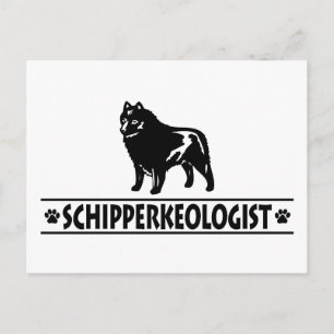 Humourous Schipperke Postcard