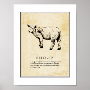 Humourous Scientific Illustration - Shoop (Sheep) Poster