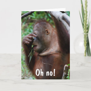 Humourous Senior Citizen Birthday Card