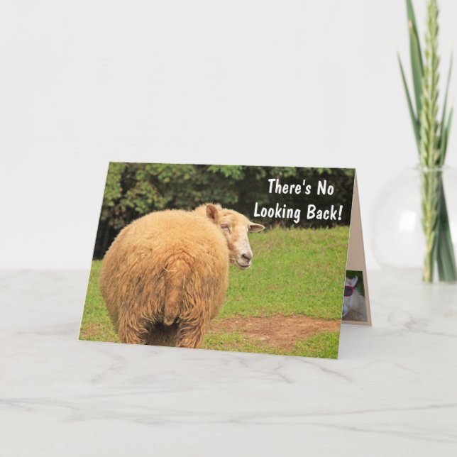 Humourous Sheep Advice Birthday Card (Front)