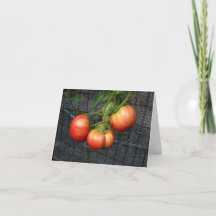 Humourous therapy tomato garden  greeting card