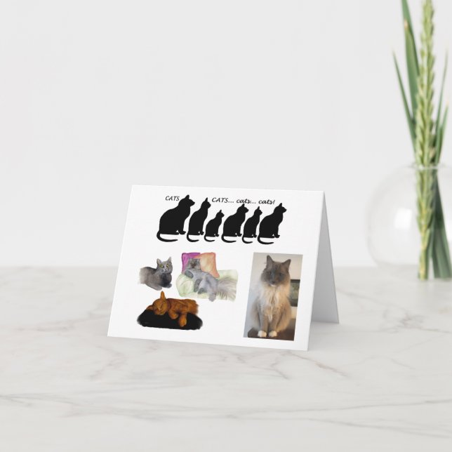 Humourous Thought about Cats Card (Front)