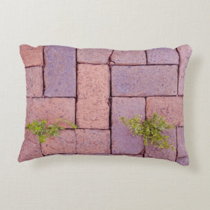 Humourous Weeds Paving Stones Walkway Pattern Decorative Cushion
