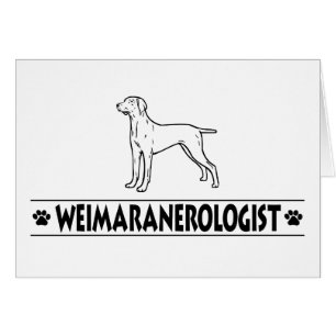 Humourous Weimaraner