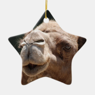 Hump Day Camel Ceramic Ornament