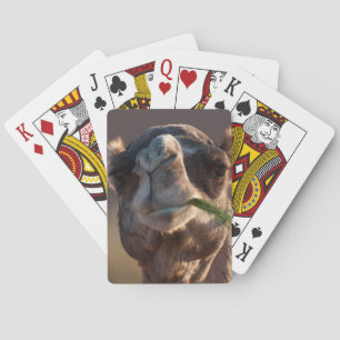 Hump Day Camel Feasting on Green Grass Playing Cards