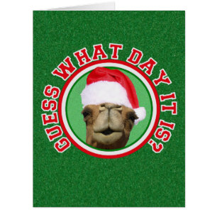 Hump Day Camel Santa Christmas BIG Greeting Cards