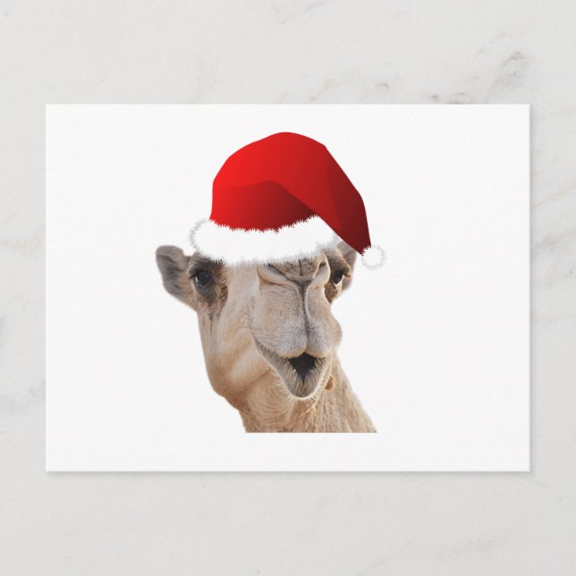 Hump Day Camel Santa Claus Hat Holiday Postcard (Front)